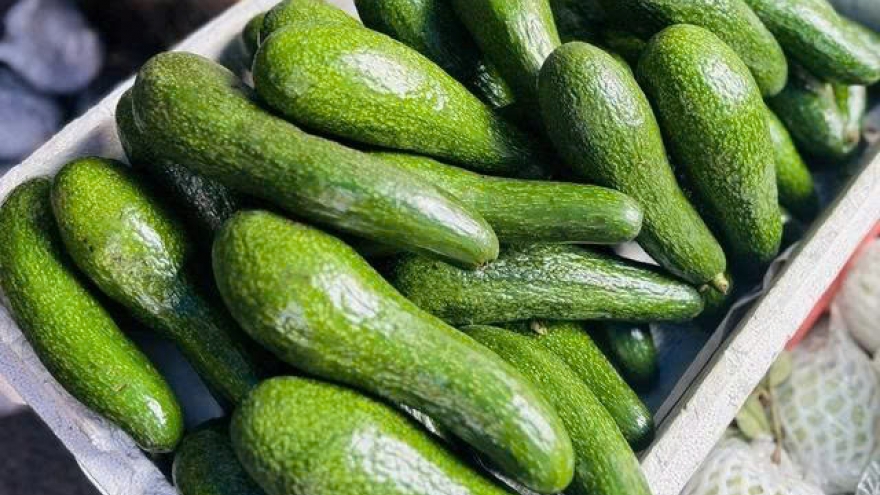 Nên ăn bơ thế nào để hỗ trợ giảm cân hiệu quả?