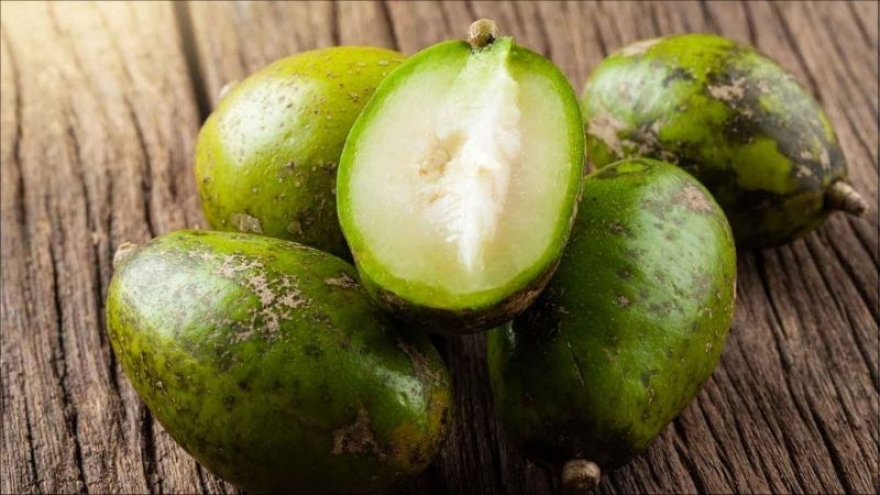 Quả cóc: Cách ăn đúng để tận dụng tối đa lợi ích sức khỏe