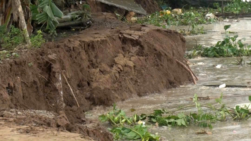 An Giang: Lại sạt lở bờ sông làm ảnh hưởng đến 12 hộ dân