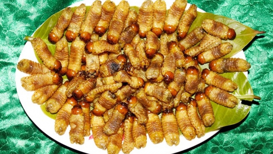 Loài ấu trùng béo múp xưa bị hắt hủi nay hóa "mỏ vàng"