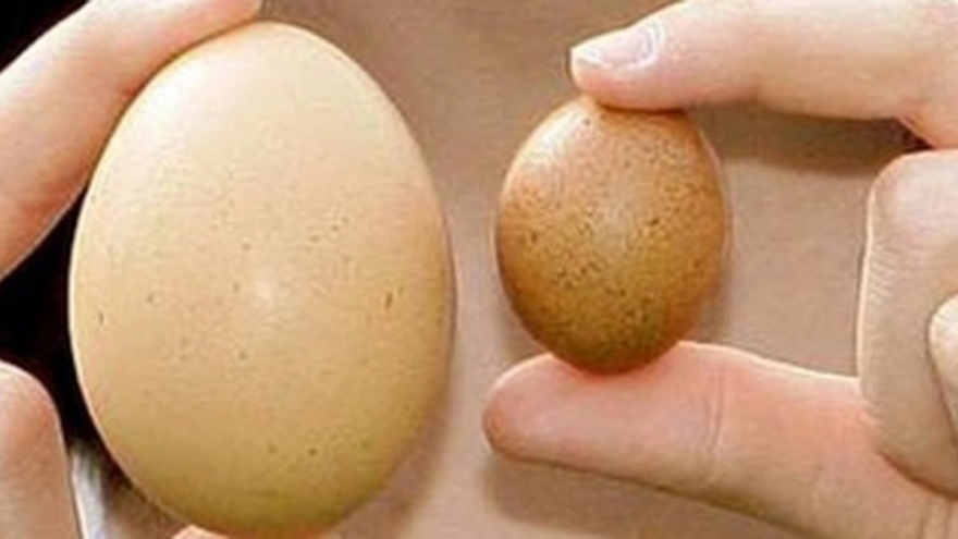 Tình trạng tinh hoàn bên cao bên thấp có nguy hiểm không?