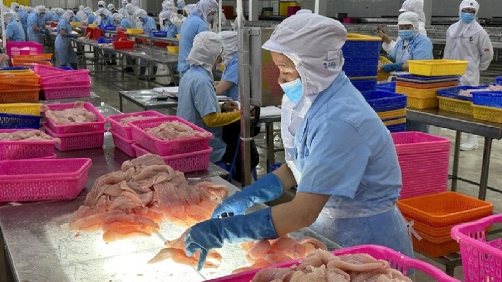 “Hidden currents” from US market challenge Vietnam’s seafood sector