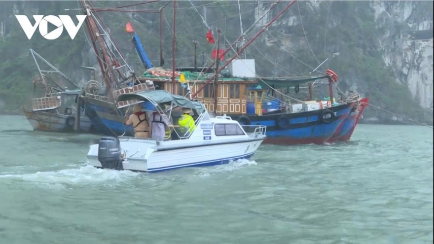 Bão số 15 suy yếu cường độ, cách đảo Song Tử Tây khoảng 190km