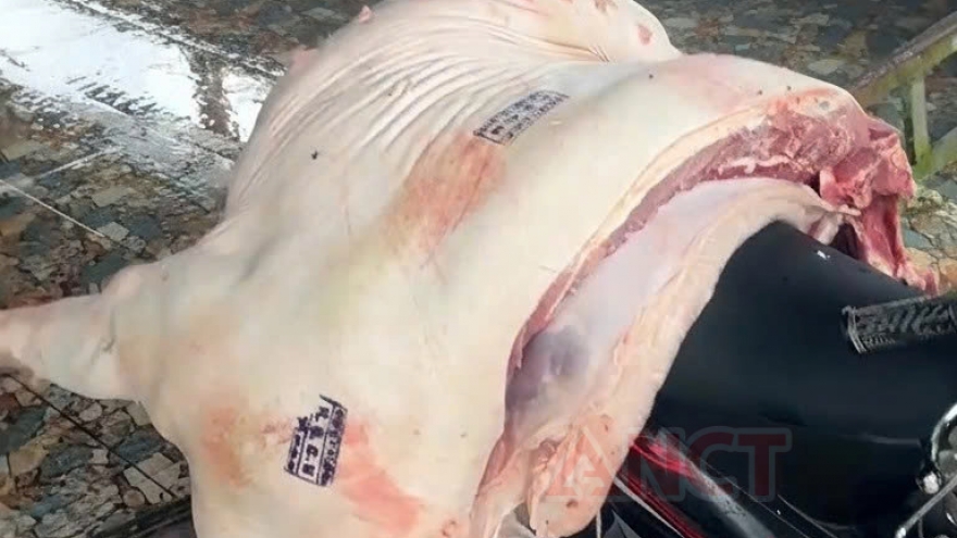 Bắt 3 cán bộ thú y tiếp tay "tuồn" thịt lợn bệnh ra thị trường