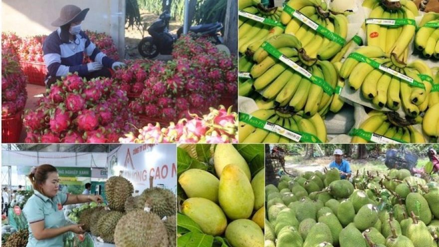 Fruit, vegetable exports exceed US$7 billion in 10 months