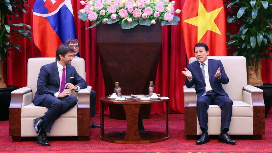 Vietnam, Slovakia boost cooperation in security industry development