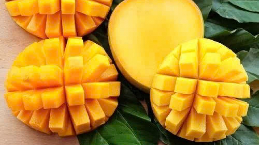 Xoài: Trái cây ngọt nhưng có thể giúp giảm nguy cơ tiểu đường?