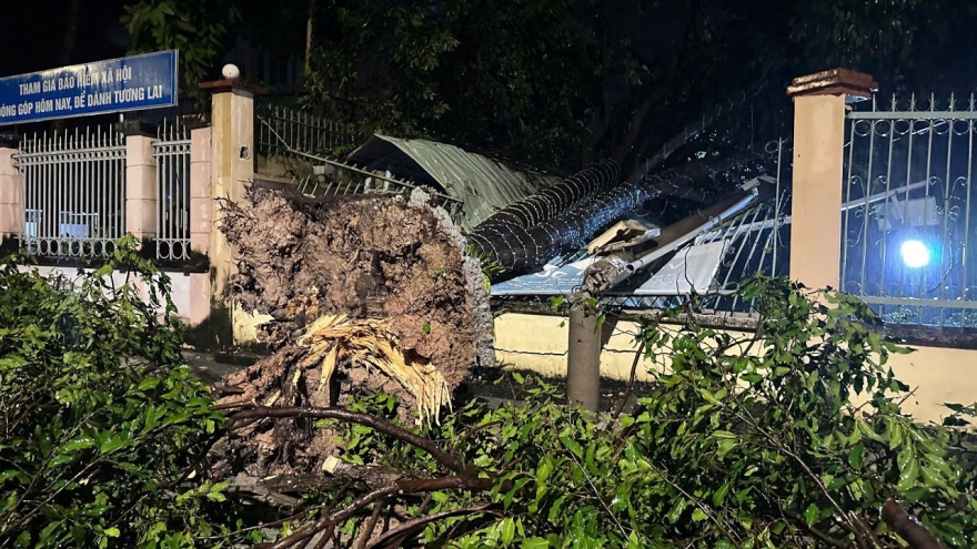 Hỗ trợ kịp thời các gia đình bị ảnh hưởng bởi cơn giông lốc quét qua TP.HCM