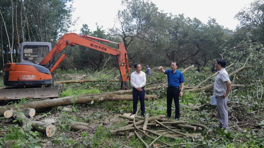 Cao tốc Gia Nghĩa – Chơn Thành: Cuộc đua “thần tốc” vì huyết mạch quốc gia