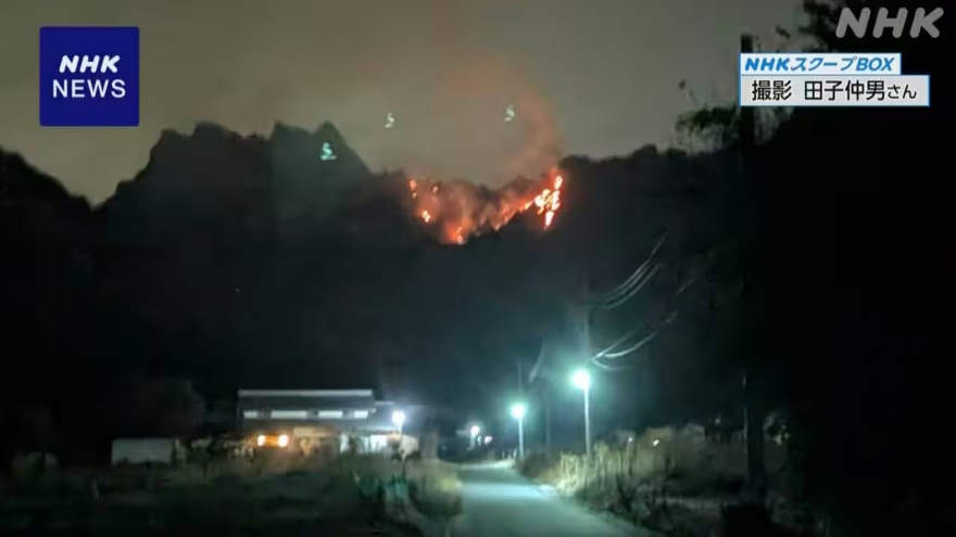 Cháy rừng dữ dội tại Nhật Bản