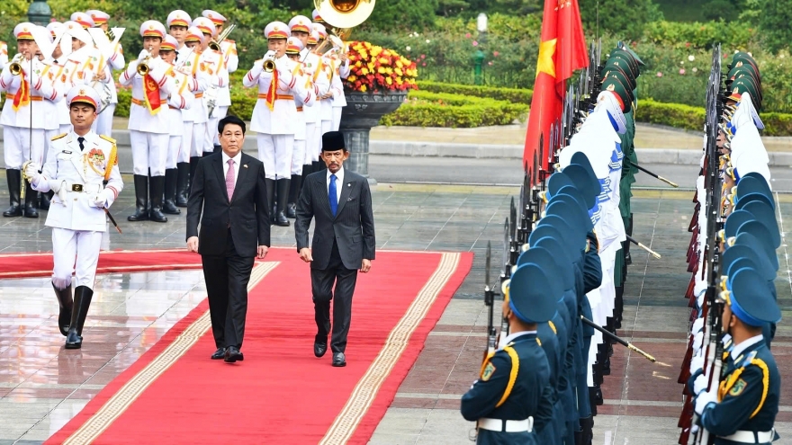 Brunei Sultan Hassanal Bolkiah warmly welcomed in Hanoi on State visit to Vietnam
