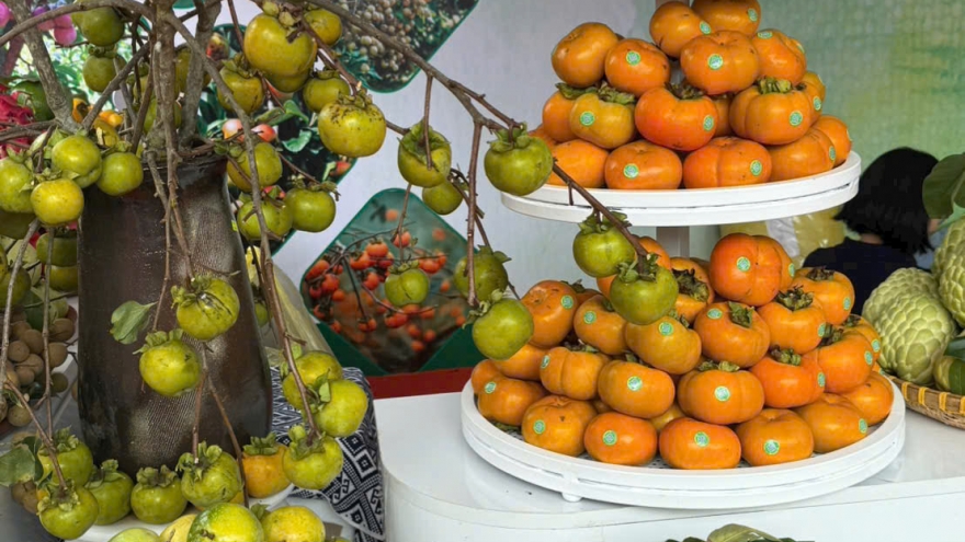 Sơn La tiêu thụ gần 495.000 tấn quả trong 11 tháng