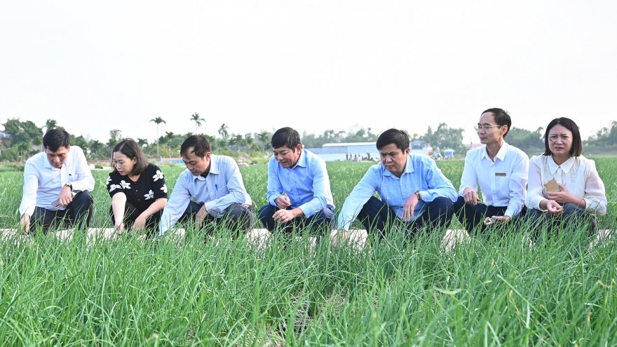 Kết nối nông sản vùng đồng bằng sông Hồng, hướng tới thị trường Tết