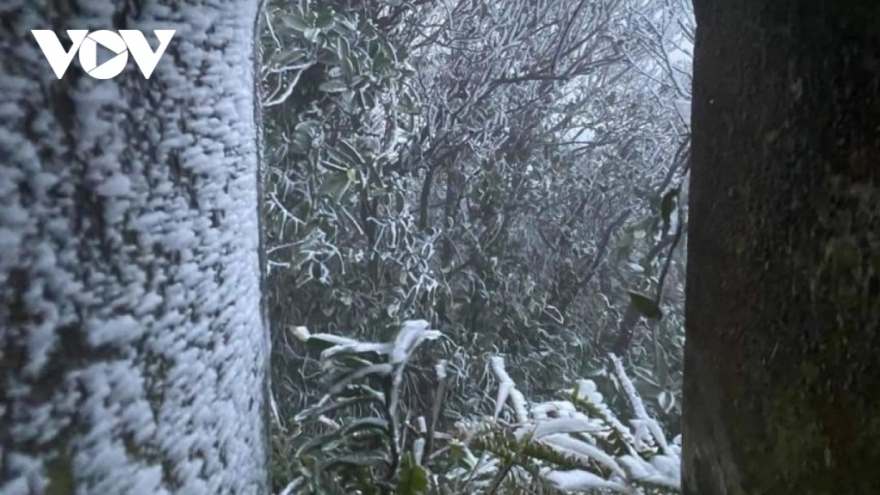 Không khí lạnh tăng cường, Bắc Bộ mưa rét ngày Tết Dương lịch