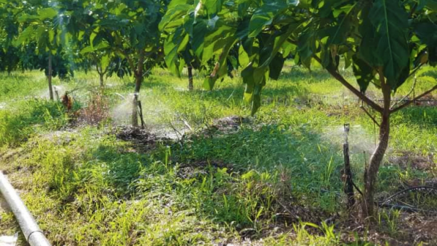 Tưới tiên tiến, tiết kiệm nước – nền tảng nông nghiệp thông minh