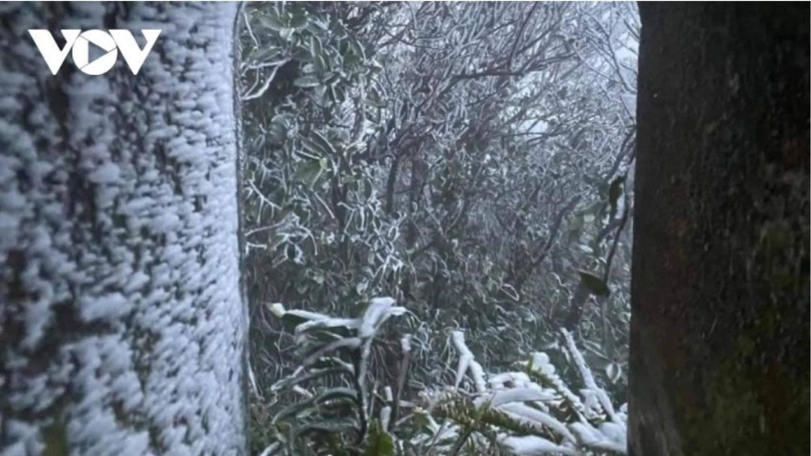 Cold surge brings rain and colder weather to northern Vietnam over New Year holiday