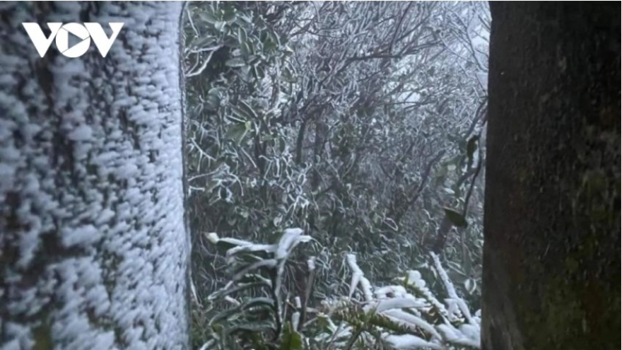 Cold surge brings rain and colder weather to northern Vietnam over New Year holiday