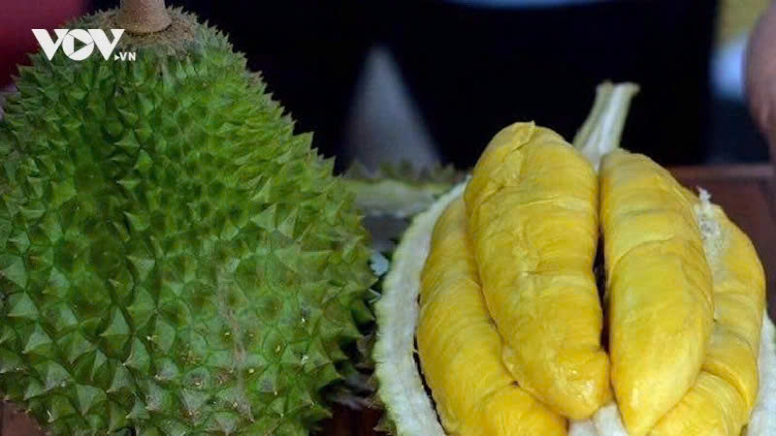 Durian retains top fruit export position as earnings hit record US$3.4 billion