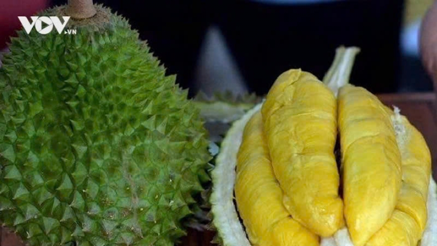 Durian retains top fruit export position as earnings hit record US$3.4 billion