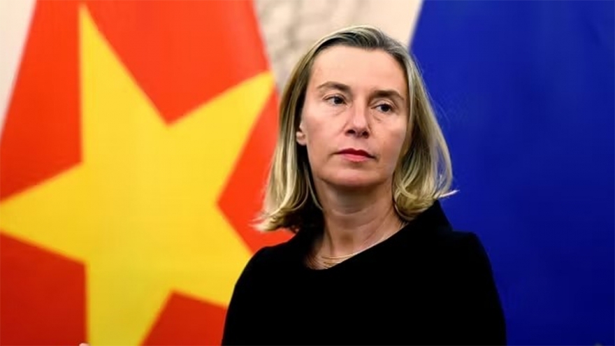 Cựu Phó chủ tịch Ủy ban châu Âu Mogherini từ chức Giám đốc Học viện châu Âu