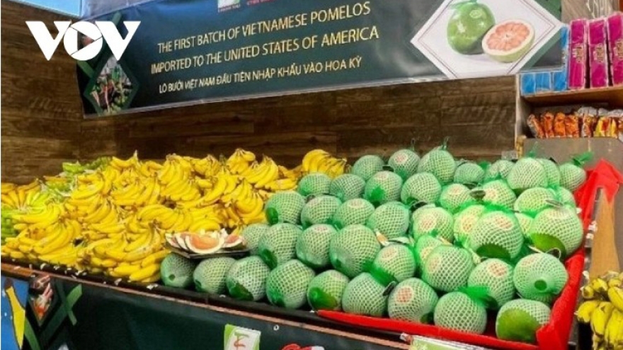 Fruit and vegetable exports gather pace, with 2026 target set at US$9-10 billion