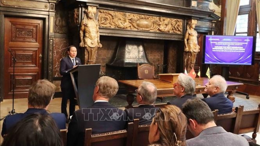 Hai Phong seeks to promote port connectivity with Belgian city