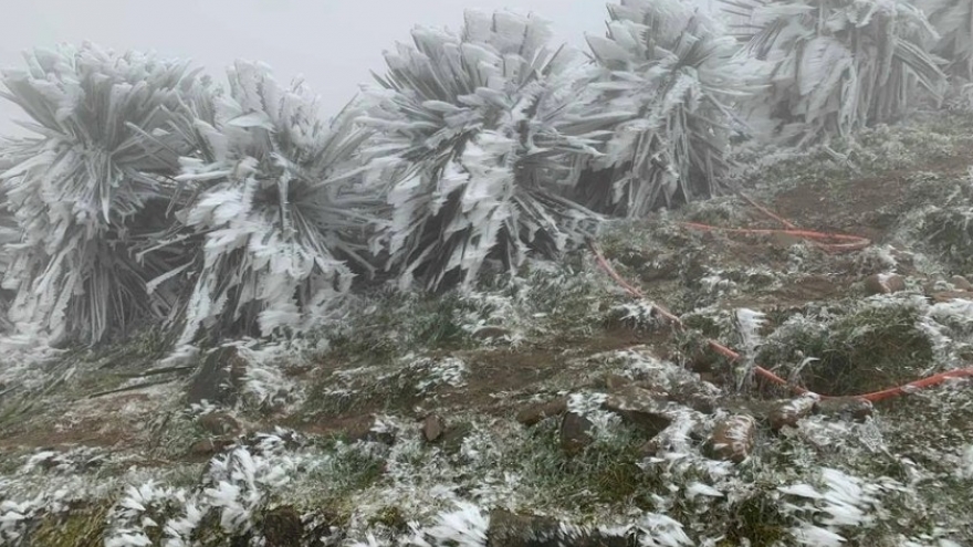 Strengthening cold air brings scattered light rain to northern Vietnam