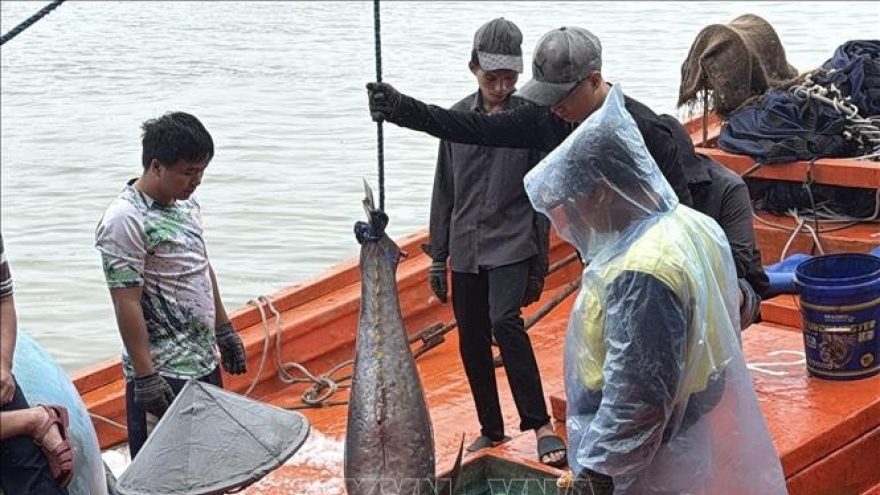Dak Lak province intensifies fight against IUU fishing