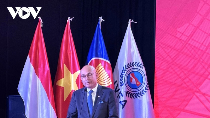 Vietnam-Indonesia comprehensive strategic partnership moves into more substantive period