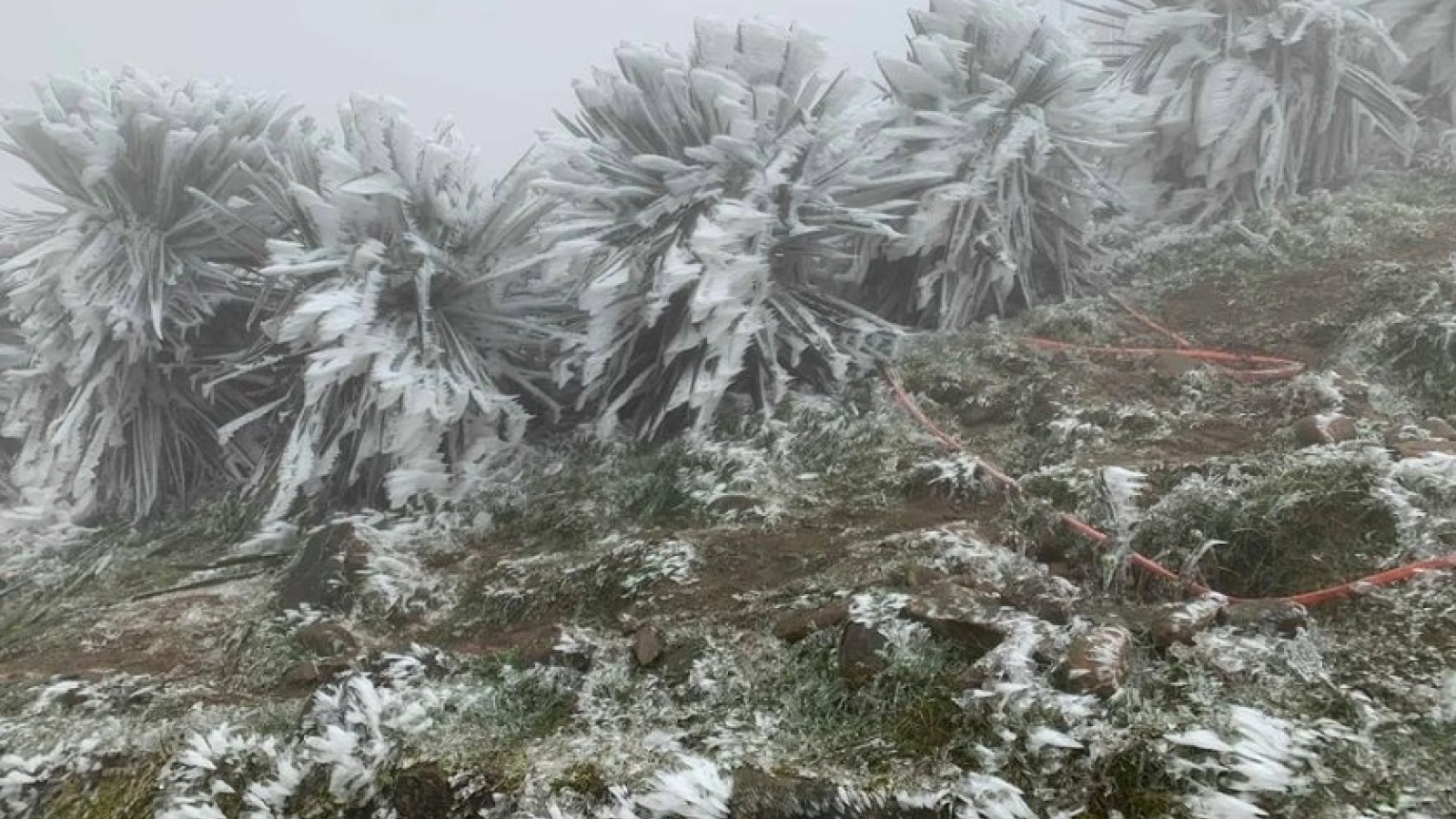 Cold front to bring severe chill and heavy rain to northern and central Vietnam