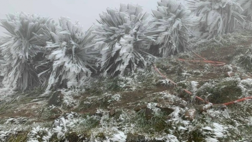 Cold front to bring severe chill and heavy rain to northern and central Vietnam