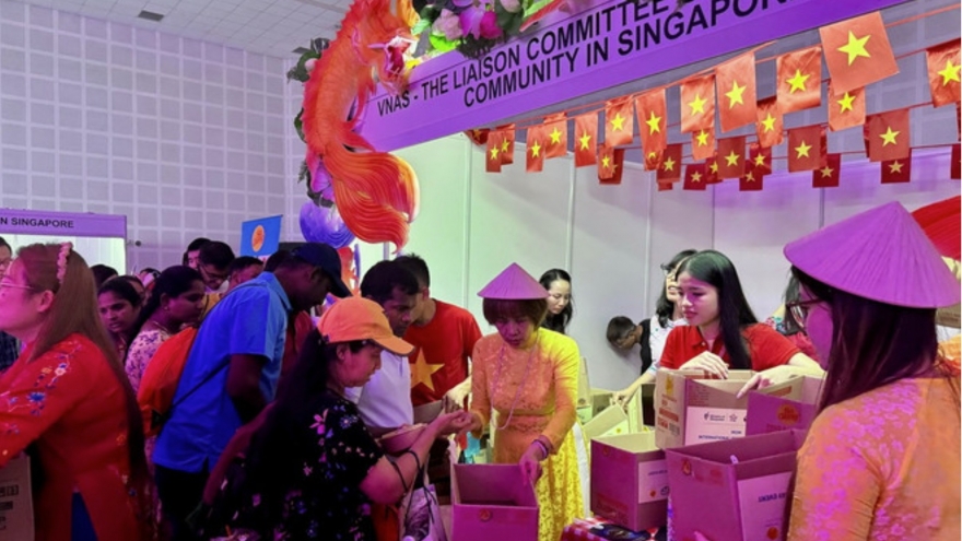 Vietnamese community actively joins International Migrants Day in Singapore