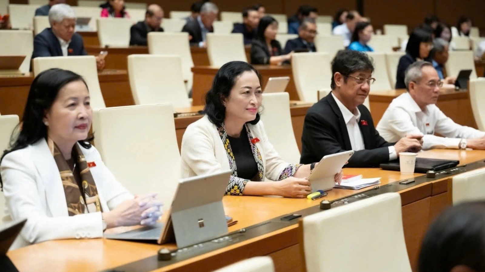Law on State of Emergency sails through National Assembly