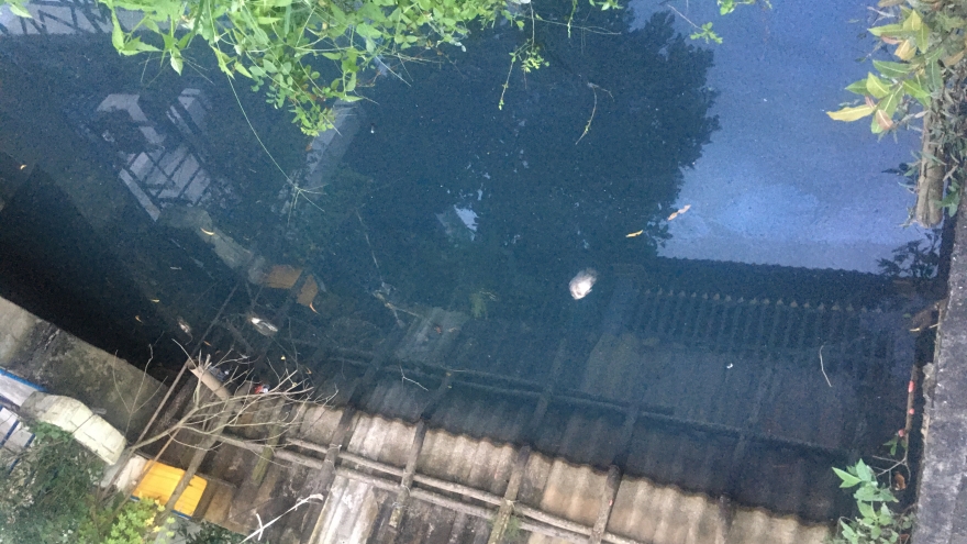 Bức xúc vì kênh ô nhiễm ở Tây Ninh, người dân yêu cầu xử lý dứt điểm