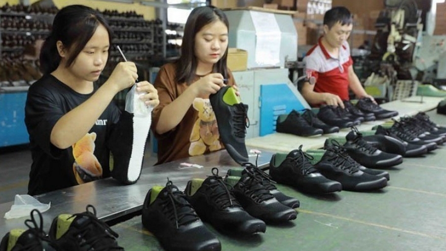 Numerous positive signals in Paraguay-Vietnam cooperation prospects