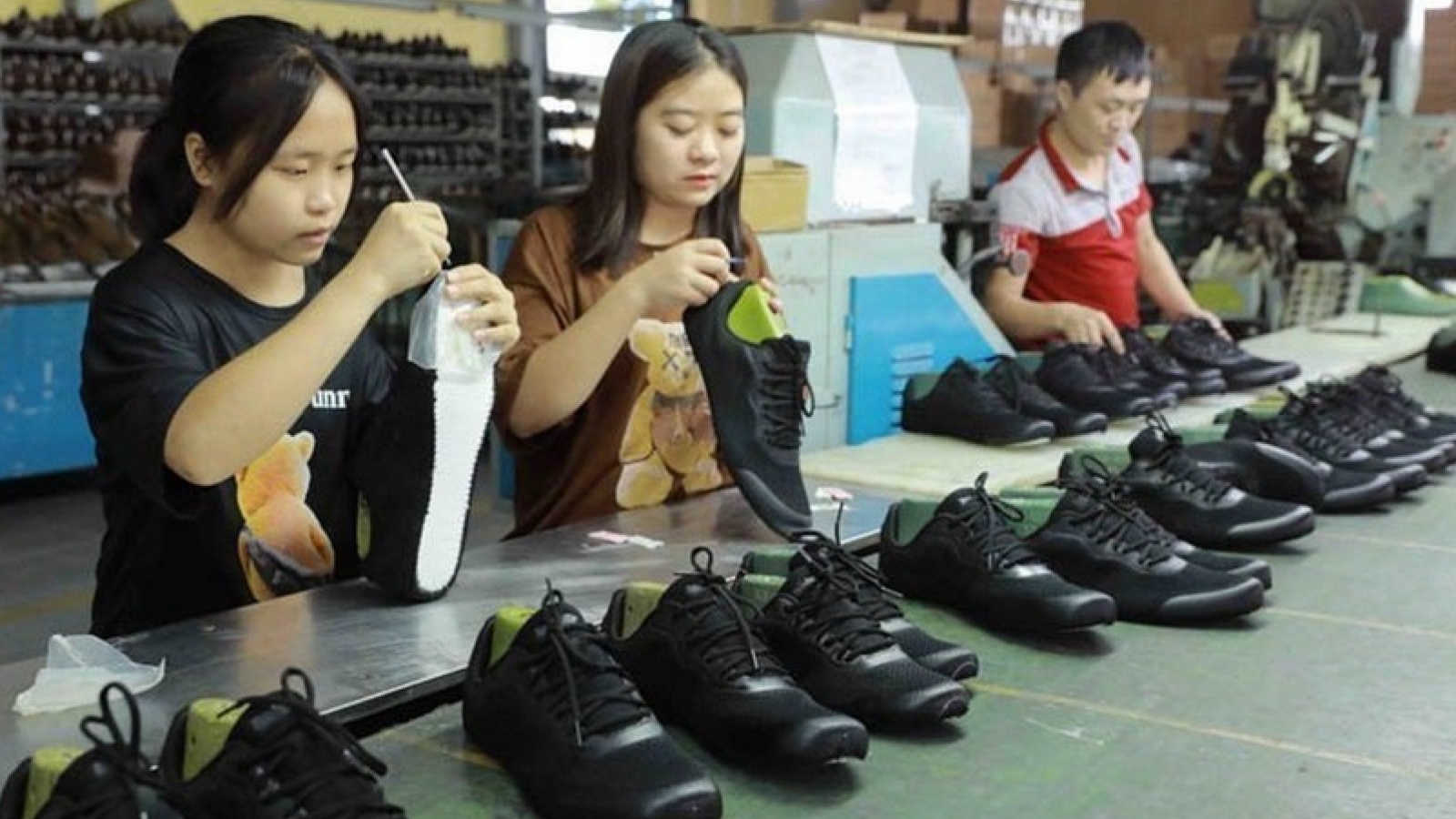 Numerous positive signals in Paraguay-Vietnam cooperation prospects
