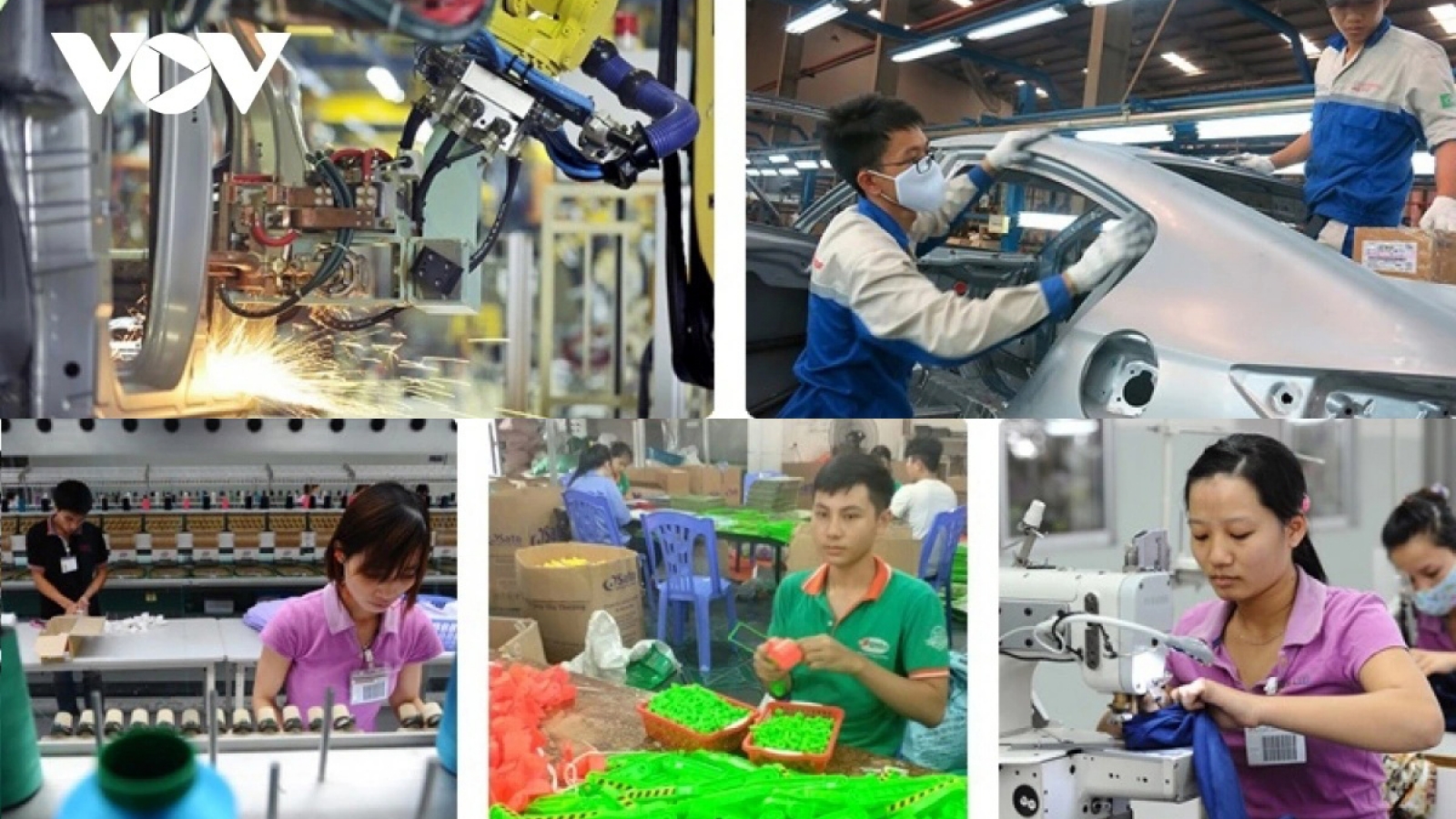 Private sector participation in supply chains - Key to sustainable export growth