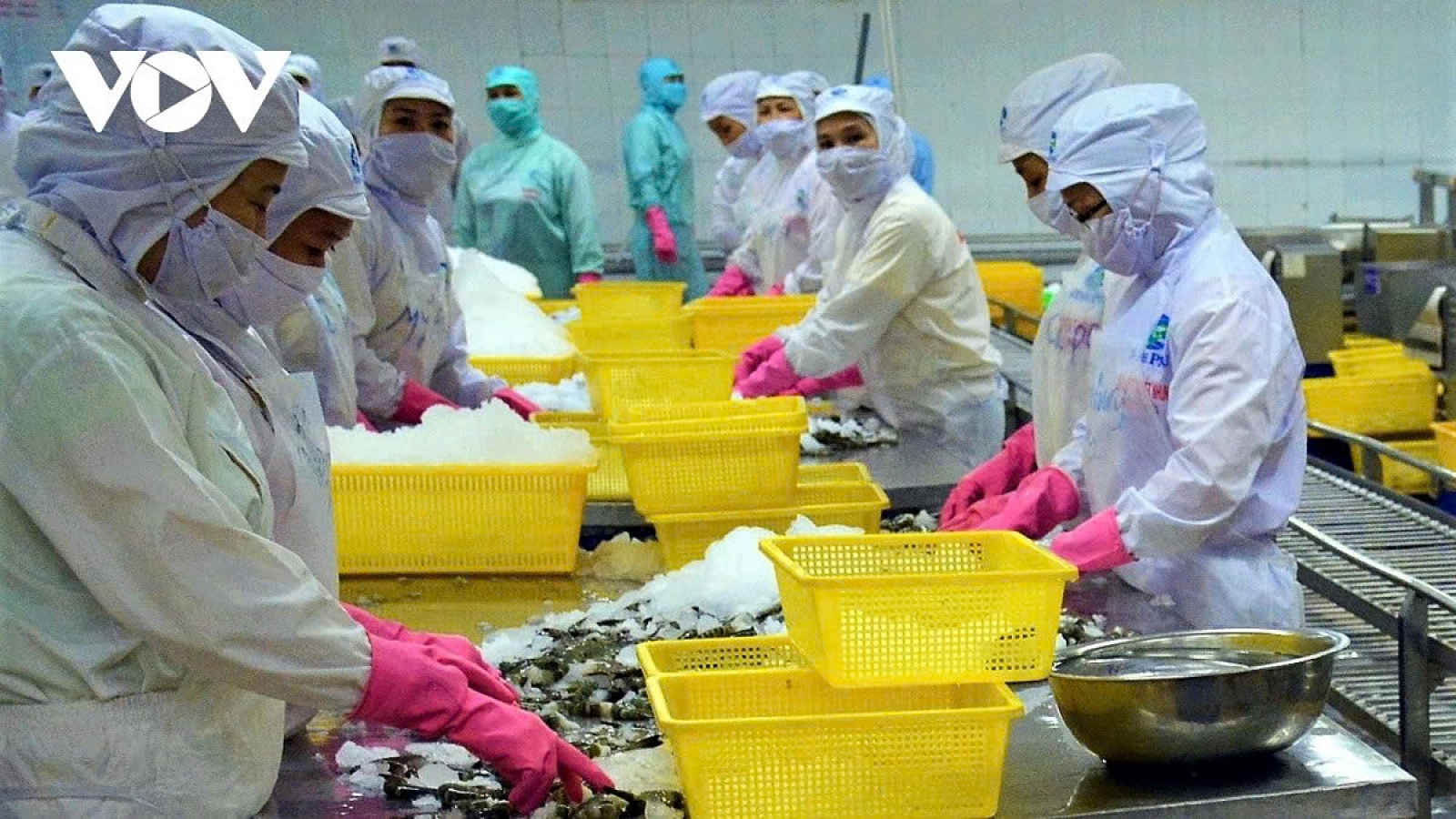 Shrimp exports surge in 11 months, generating over US$4.3 billion