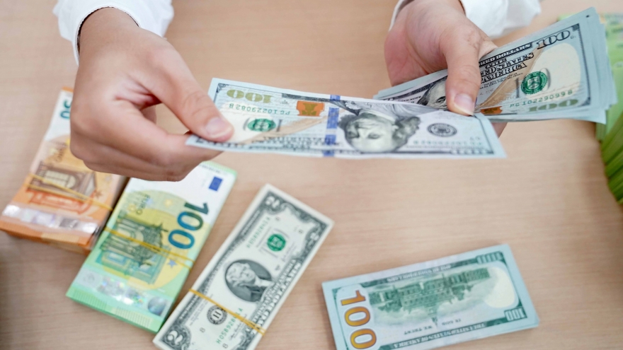 Tỷ giá USD hôm nay 21/1: Tỷ giá trung tâm hạ xuống còn 25.124 đồng/USD