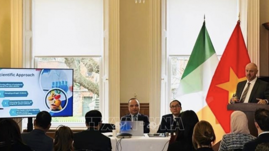 Vietnam emerges as Ireland’s most promising economic partner in ASEAN