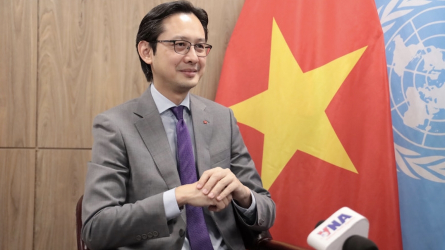 Vietnam continues to affirm standing, distinct identity at UN: Ambassador