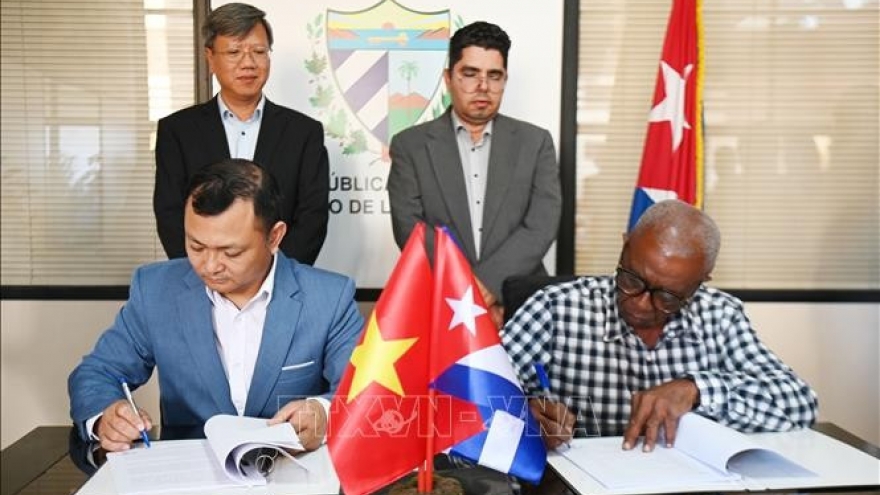 Vietnamese company invests in cashew cultivation in Cuba