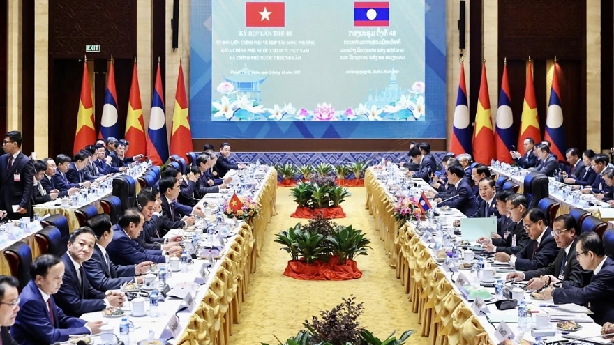 Vietnam and Laos vow to realise strategic cohesion in bilateral relations