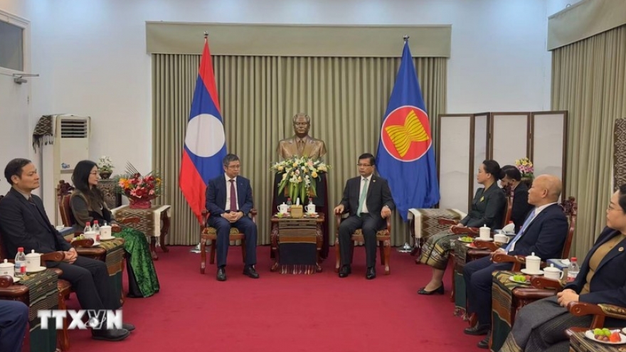 Vietnam remains loyal friend, comrade of Laos: ambassador