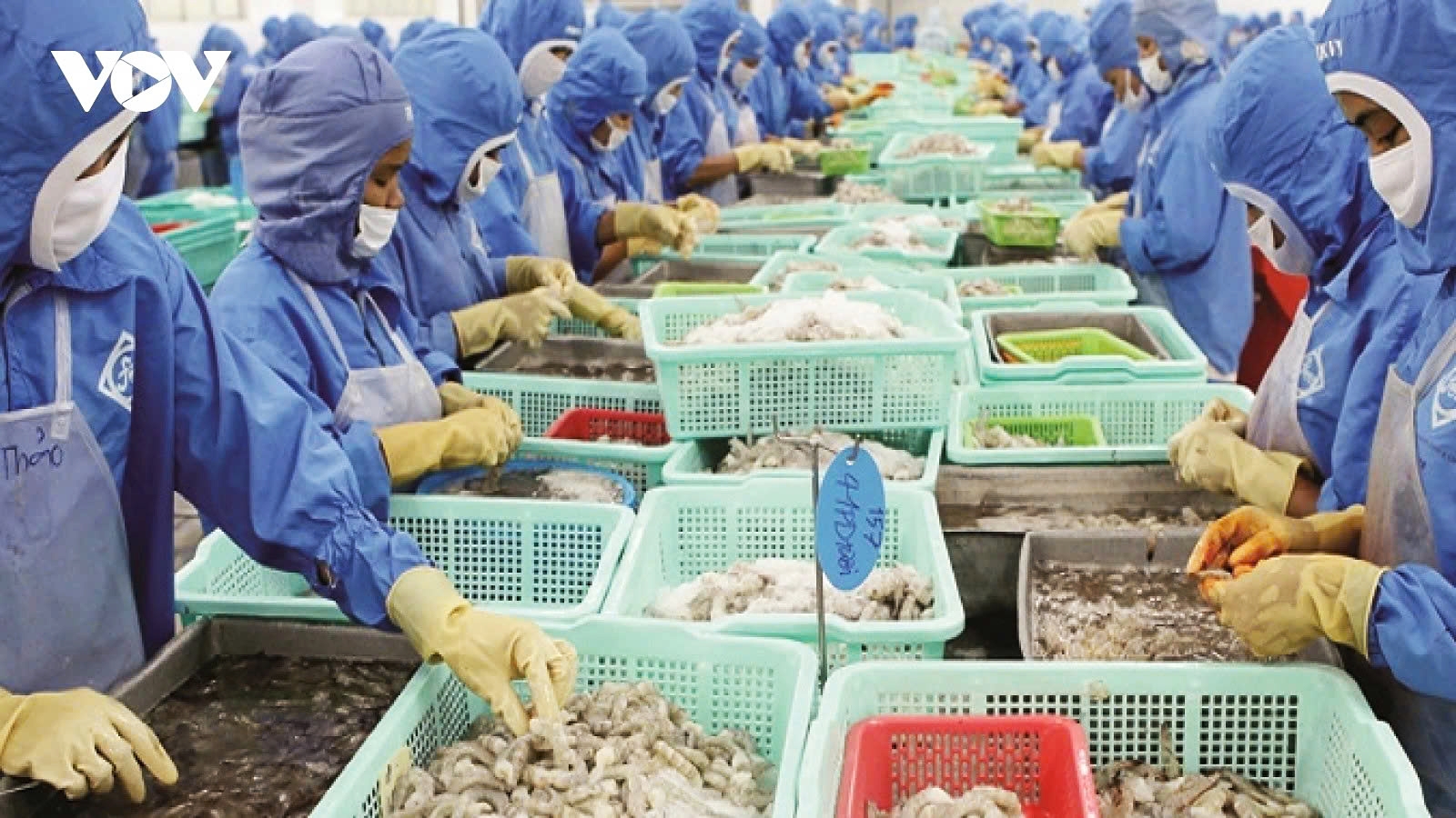 Vietnam sustains strong growth, but key risks remain