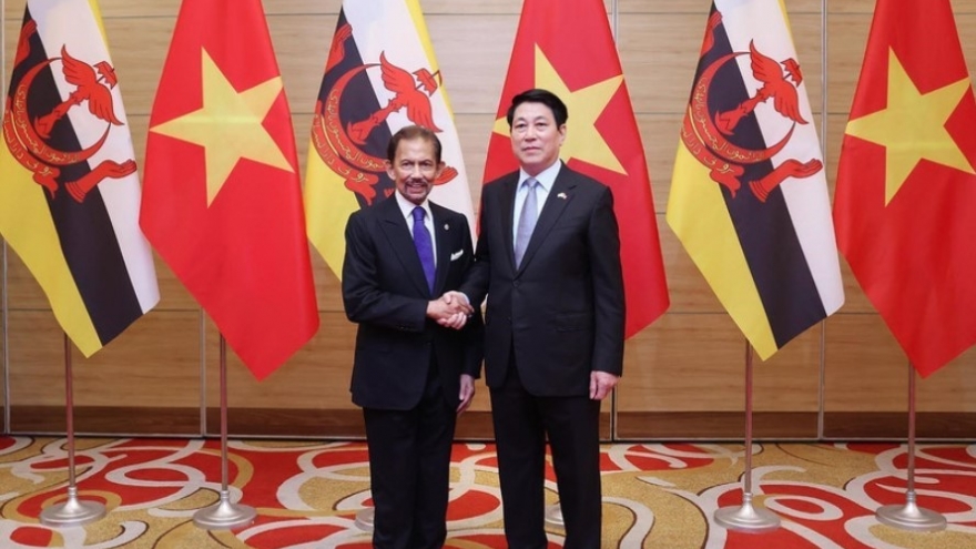 Vietnam, Brunei issue joint statement