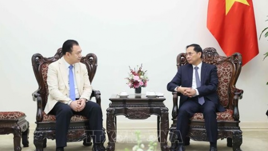 Laos’ Phongsupthavy Group urged to expand energy cooperation with Vietnam