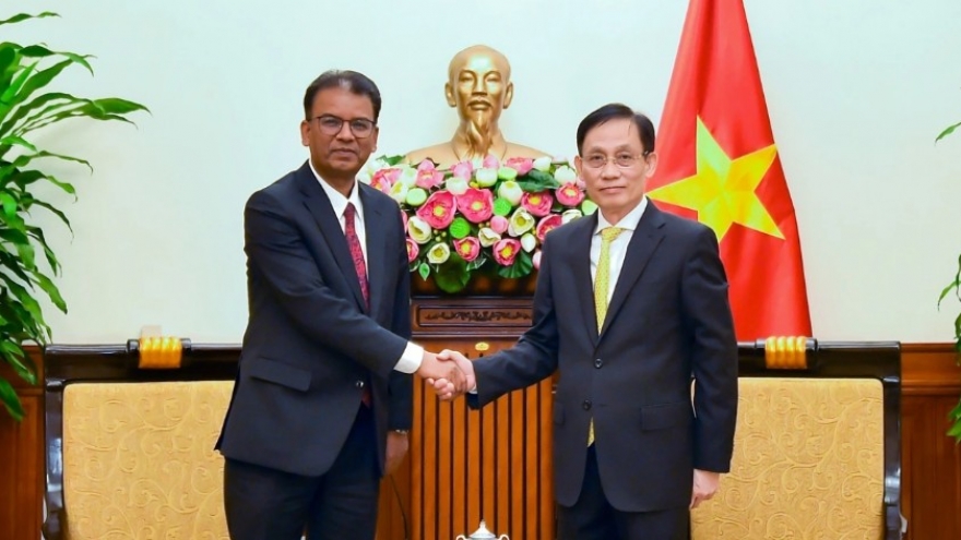 Vietnamese FM upbeat about growing ties with Nepal