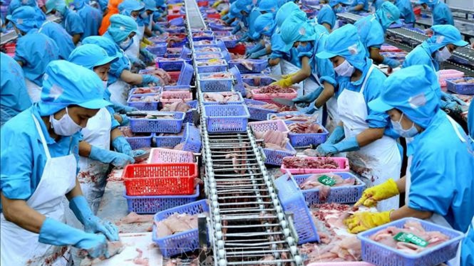 Vietnam’s agro-forestry-fishery exports race past 2024 record in first 11 months