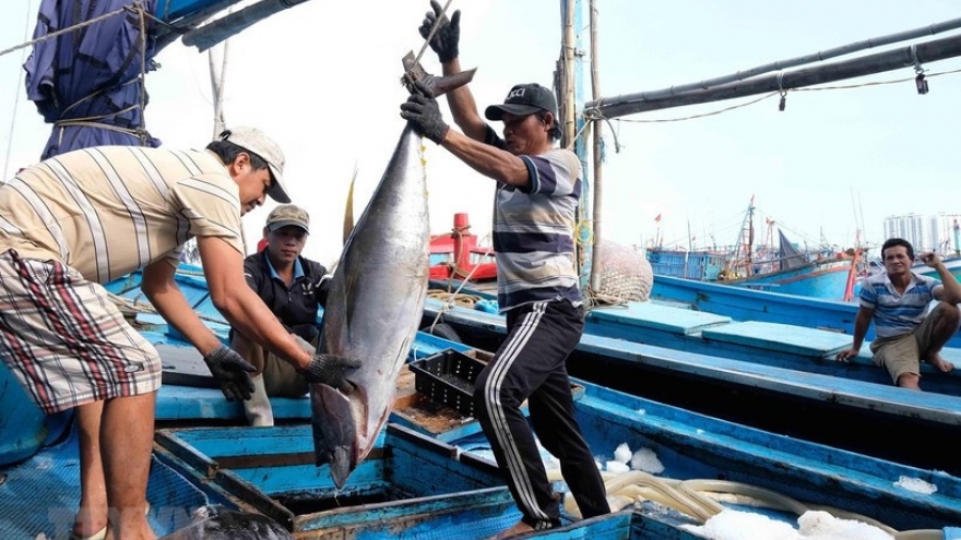 Vietnam’s aquatic sector on track to hit US$11 billion in exports
